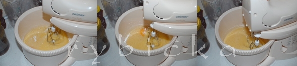 080904_dsc_7809_sleh1_kolaz_vod