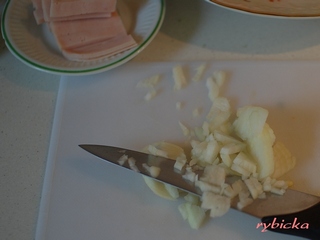 02dsc_3473_02_krajeni_sunkacibule_320