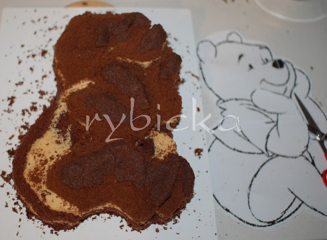 04_dsc_0956_punc_vod Medvídek Pú