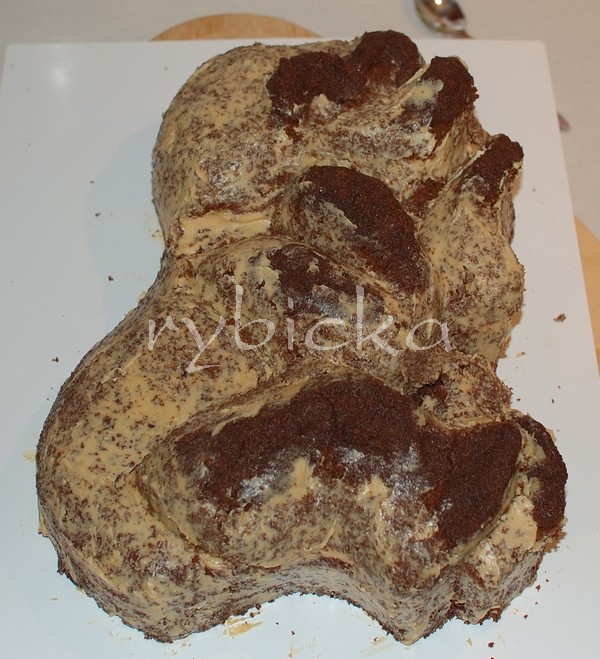 05_dsc_0962_kremem_vod Medvídek Pú