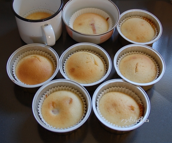 Pečení v "paštikách"