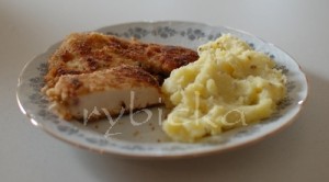 Kuřecí řízečky z jogurtu