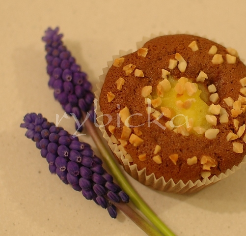 Černý mufík s očičkem