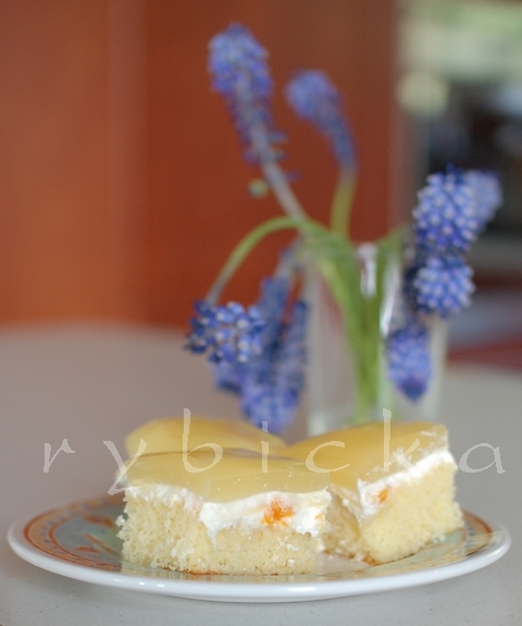 Žravé řezy s mandarinkami