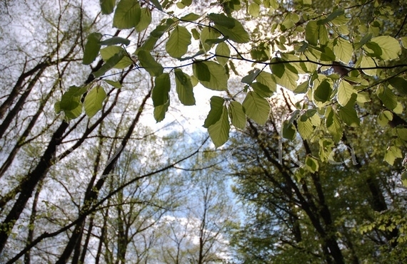 080428_dsc_0315_tak_to_vidim_z_kocarku_570 Tak to vidím z kočárku.