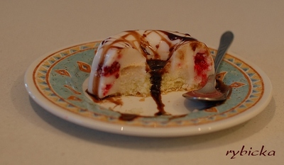 080527_dsc_1858_mizejici_babovicka_iiib