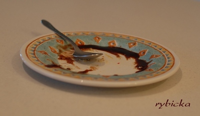 080527_dsc_1861_mizejici_babovicka_ivb