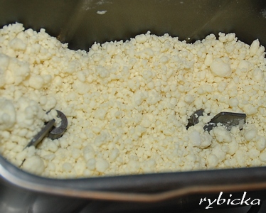 080531_dsc_2077_marcos_kulicky_b