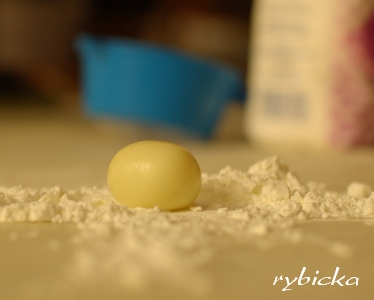 080531_dsc_2086_dokonala_kulicka_b