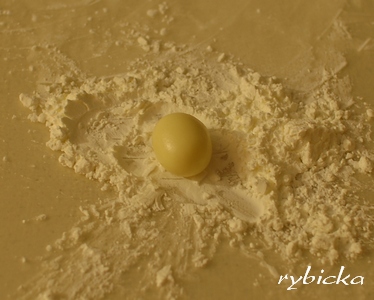 080531_dsc_2090_tady_taky_