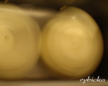 080531_dsc_2102_metelskum_pleskum_b