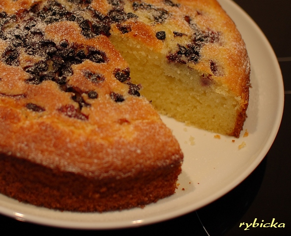 080615_dsc_3447_tvaroh_kolac_hotov Variace na tvarohovou bábovku