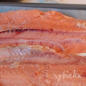 090101_dsc_0466_losos_vod 090101_dsc_0466_losos_vod