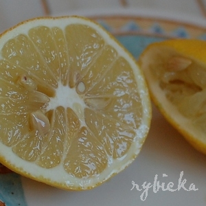 090101_dsc_0470_citron_vod 090101_dsc_0470_citron_vod