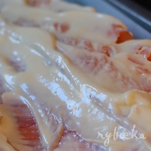 090101_dsc_0483_pomazany_vod 090101_dsc_0483_pomazany_vod