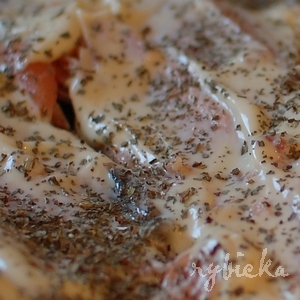 090101_dsc_0492_posypany_vod 090101_dsc_0492_posypany_vod