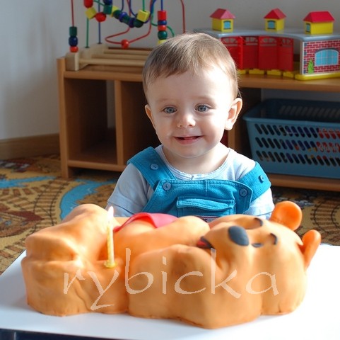 10_dsc_1052_kubicek-s-dortem_vod A tady už nepláče, že nemůže svíčku chytat.