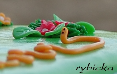 15_dsc_4087_detail_zizalyb