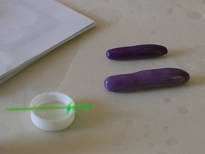 dsc_3262_fialova_400