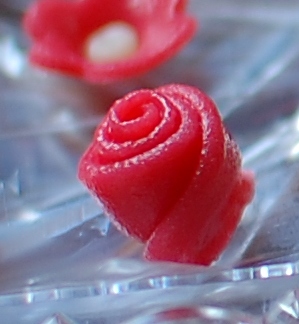 dsc_3284_nejmensiruze