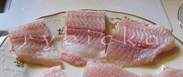 img_7372_pangas_vod Pangasius