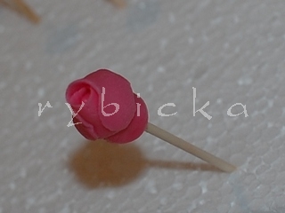 07_druhy-lupinek-prilepeni
