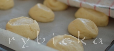 080728_dsc_5826_mer_vdolky_naplechu_vod_28708