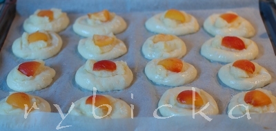 080728_dsc_5830_mer_vdolky_predpecenim_vod