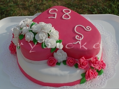 080823_26_dsc_7255_zvrchu_vod