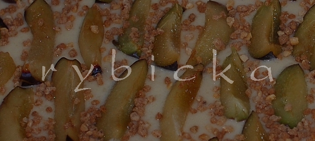 Připraveno na plechu