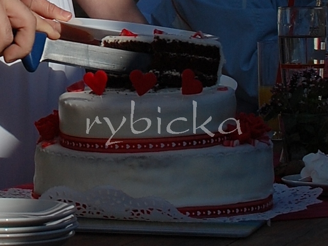 080913_dsc_8228_3patro_vod