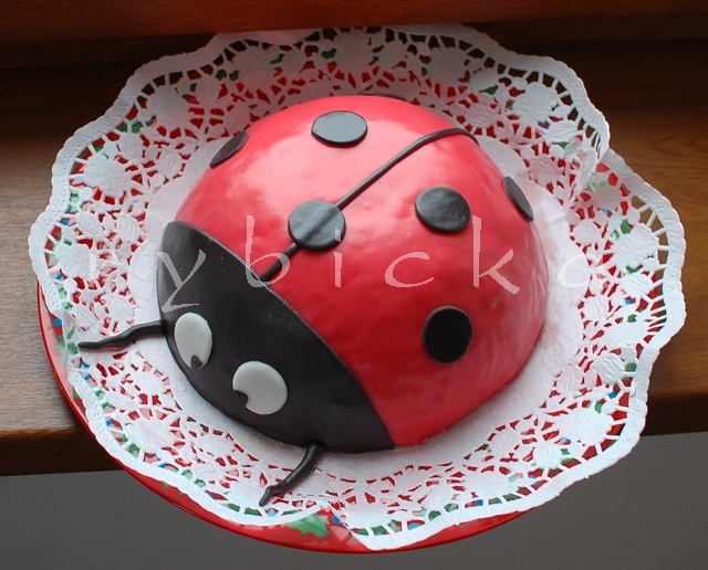 081015_dsc_8939_31beruska_str_vod