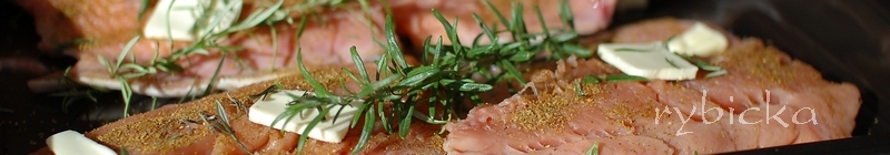 081102_dsc_9414_syrova_vod