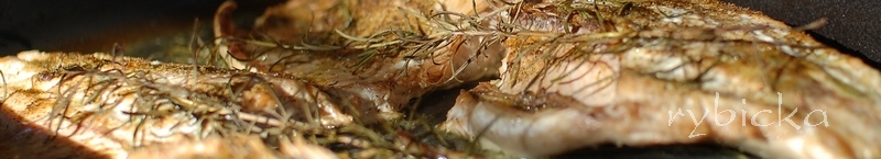 081102_dsc_9427_pecena_vod