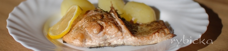 081102_dsc_9436_porce_vod