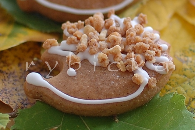 081104_dsc_9359_jezek_vod