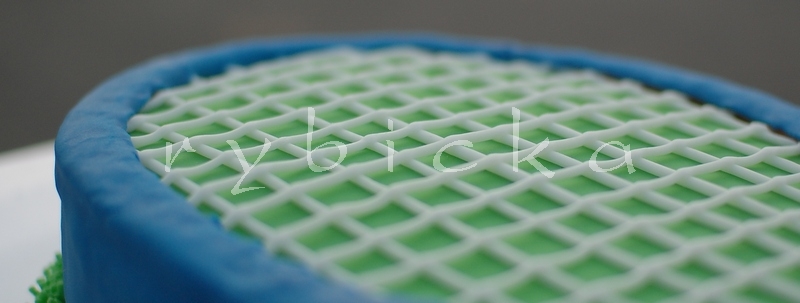 081203_dsc_0089_40_tenis_raketa_detail_vod 081203_dsc_0089_40_tenis_raketa_detail_vod