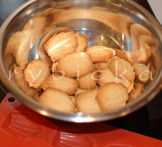 081205_dsc_9878_bile_vmise_vod