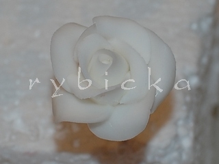 25_v_dotvarovani