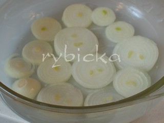 dsc_1090_cibule_vod Cibule