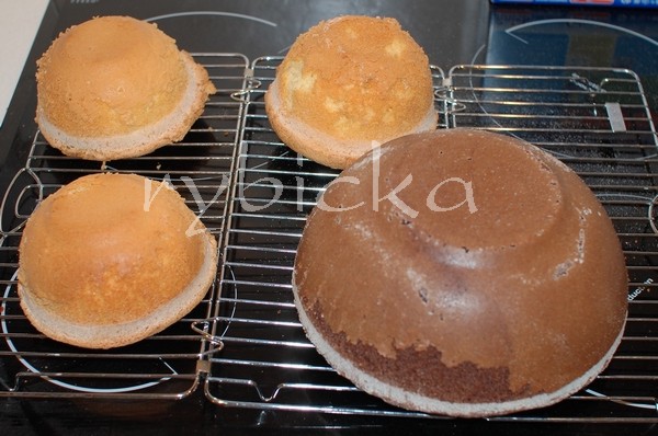 dsc_1517_zmisek_600_vod