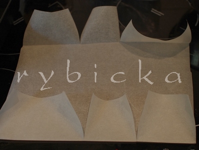 dsc_5888_formavod dsc_5888_formavod