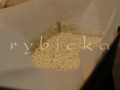 dsc_5899_formavod dsc_5899_formavod