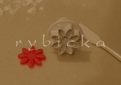 dsc_5976_kopretinka_vod