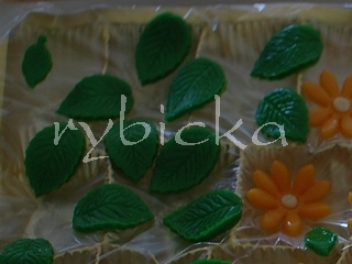 dsc_6011_listecky_vod