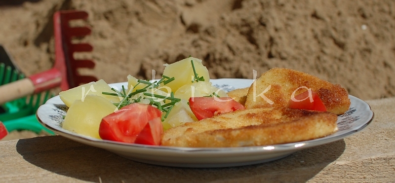 dsc_7452_porce_800 Servírovaný patizon