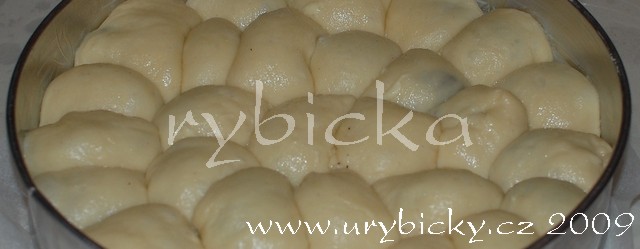 dsc_1972_veforme_wod dsc_1972_veforme_wod