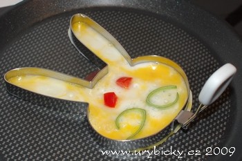 dsc_2681_zajic_wod dsc_2681_zajic_wod