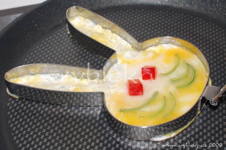 dsc_2688_zajic_740_wod dsc_2688_zajic_740_wod