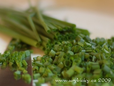 dsc_3018_pazitka_400_w dsc_3018_pazitka_400_w